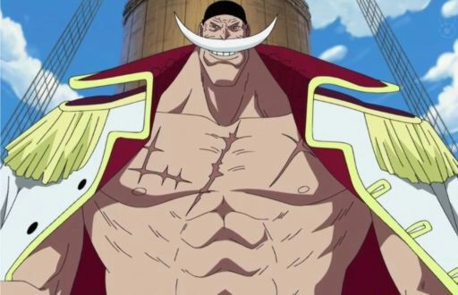 whitebeard pirates