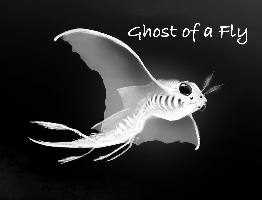 ghost fly
