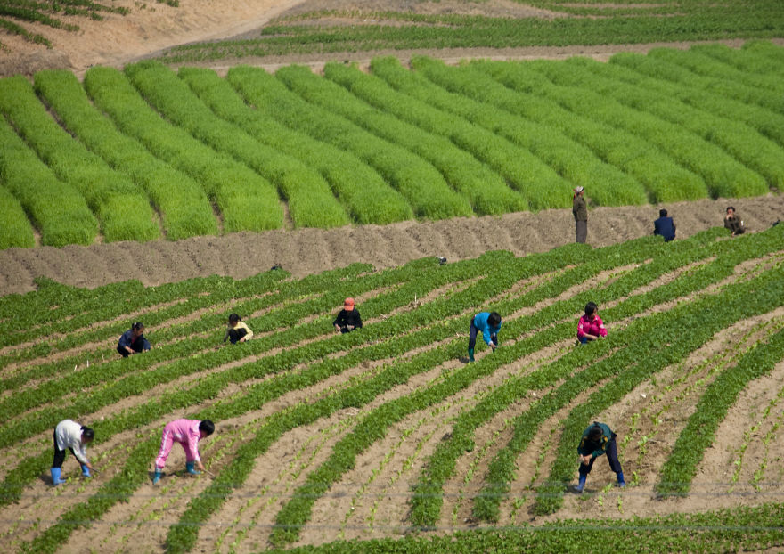 Photos Showing a Side of North Korea That Has Never Been Seen