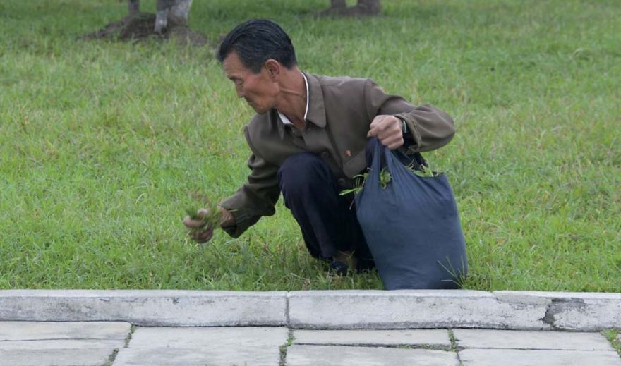 Photos Showing a Side of North Korea That Has Never Been Seen