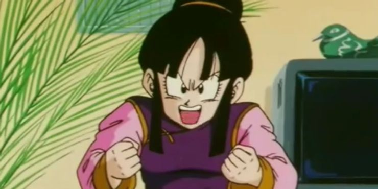 Learn More About Chi-Chi From Dragon Ball Z