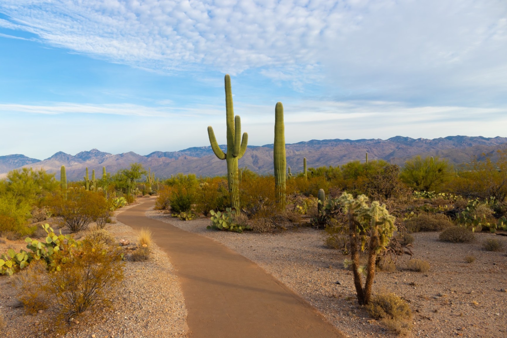 Discover the Best National Parks in the United States